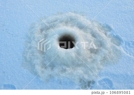 Winter fishing in January. A round hole in the ice and snow, made with an ice pick. Hobby, sports or amateur fishing. Danger of falling into cold water. Brittle ice Winter fishing in January. A round hole in the ice and snow, made with an ice pick. Hobby, sports or amateur fishing. Danger of falling into cold water. Brittle ice 106895081