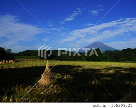 収穫の終わった田んぼと富士山　9月富士山1802小山町･水田の稲干しH4.3 106895329