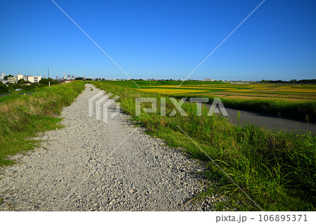 荒川土手からの景色　さいたま新都心方面 106895371