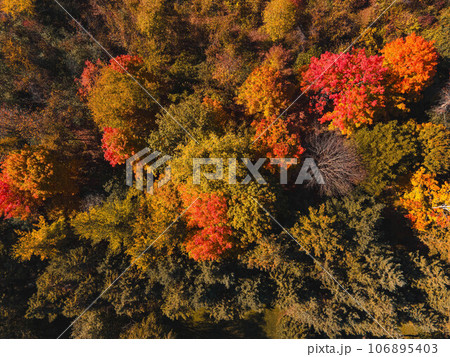 Aerial view high up in Autumn Wisconsin Aerial view high up in Autumn Wisconsin 106895403