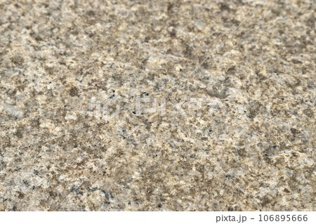 公園内の石の床　コンクリート 106895666