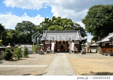 澁川神社(拝殿)　【大阪府八尾市】 106895830