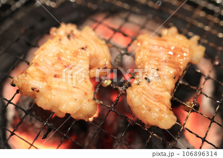 ホルモン焼肉(テッチャン) ホルモン焼肉(テッチャン) 106896314