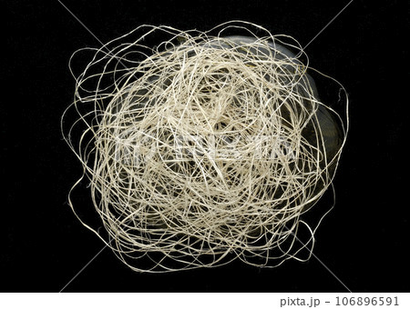 絹　シルク　 106896591