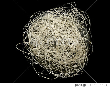 絹　シルク　 106896604