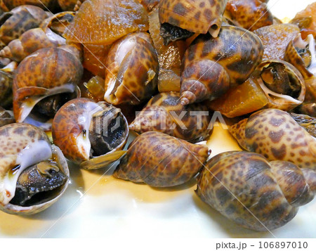 ほんのりとした甘みと、旨みたっぷりのバイ貝の煮付け 106897010