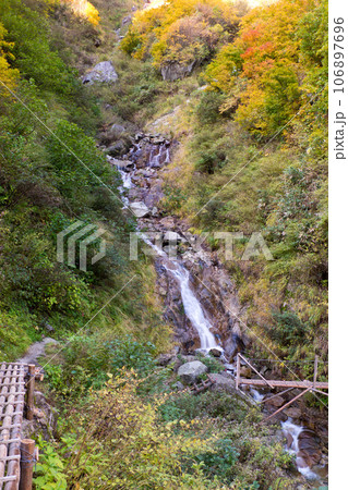 阿曽原温泉小屋横の阿曽原谷の滝と丸太橋黄葉紅葉秋の黒部峡谷水平歩道トレッキング 阿曽原温泉小屋横の阿曽原谷の滝と丸太橋黄葉紅葉秋の黒部峡谷水平歩道トレッキング 106897696