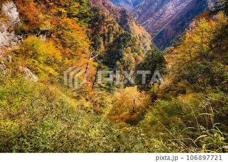 HDR加工 黄葉紅葉秋の黒部峡谷水平歩道トレッキング HDR加工 黄葉紅葉秋の黒部峡谷水平歩道トレッキング 106897721