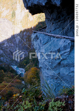 大太鼓　黄葉紅葉秋の黒部峡谷水平歩道トレッキング 106897732