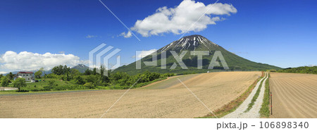北海道留寿都村豊岡から望む羊蹄山とニセコ連峰 北海道留寿都村豊岡から望む羊蹄山とニセコ連峰 106898340