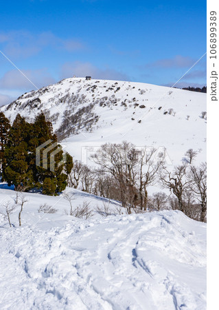 兵庫県最高峰の氷ノ山雪山登山　三ノ丸からの雪原で氷ノ山の山頂を見上げる 106899389