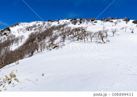 兵庫県最高峰の氷ノ山雪山登山 氷ノ山の山頂を望む 兵庫県最高峰の氷ノ山雪山登山 氷ノ山の山頂を望む 106899411