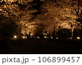 夜桜を飾る 106899457