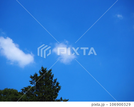 夏の青空と緑 106900329