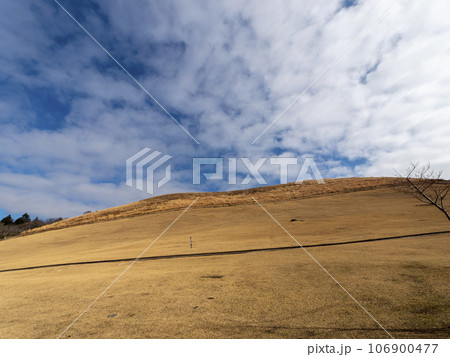枯れ芝が広がる秋の若草山 枯れ芝が広がる秋の若草山 106900477