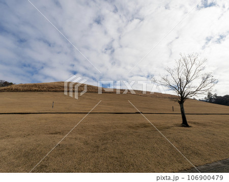 枯れ芝が広がる秋の若草山 枯れ芝が広がる秋の若草山 106900479
