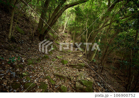 羽束山の登山道 羽束山の登山道 106900752