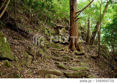 羽束山の登山道 羽束山の登山道 106900758