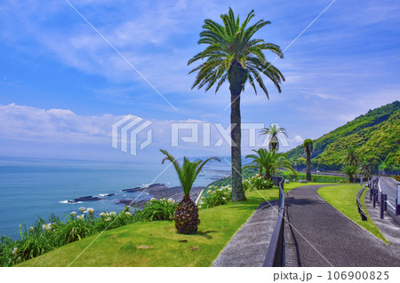 宮崎県堀切峠 106900825