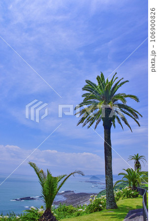 宮崎県堀切峠 106900826