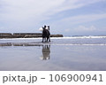 夏の海岸でたそがれる犬 106900941
