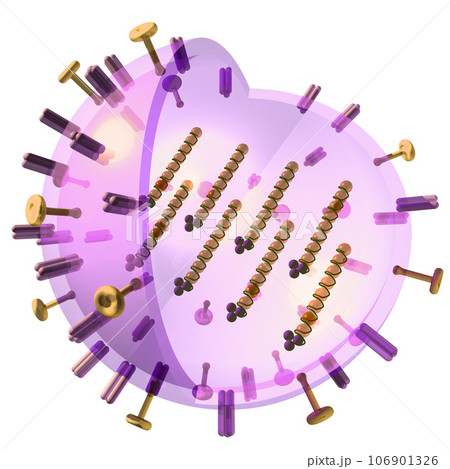 立体・3D「インフルエンザウイルス/influenza virus」 立体・3D「インフルエンザウイルス/influenza virus」 106901326