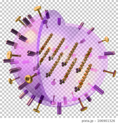 3D/3D “influenza virus” 3D/3D “influenza virus” 106901326