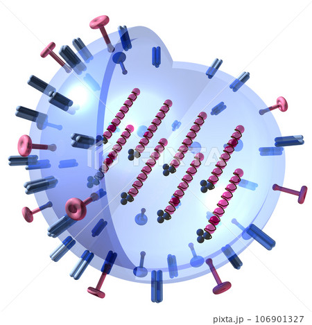 立体・3D「インフルエンザウイルス/influenza virus」 立体・3D「インフルエンザウイルス/influenza virus」 106901327