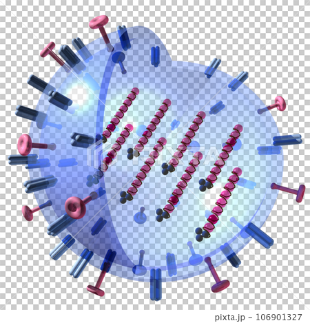 3D/3D “influenza virus” 3D/3D “influenza virus” 106901327