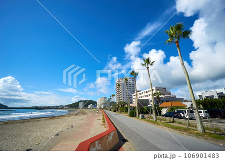 椰子並木のある海岸道路　鴨川市 106901483