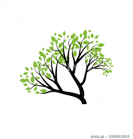 Bonsai Tree Logo. Simple Minimalist Silhouette Design, Plant Vector, Icon Illustration Element 106902093