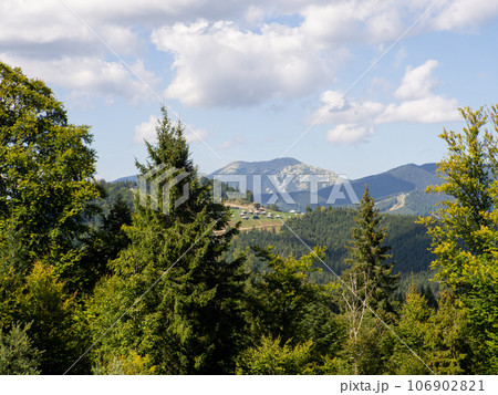 The forest against the background of mountain peaks and sky The forest against the background of mountain peaks and sky 106902821