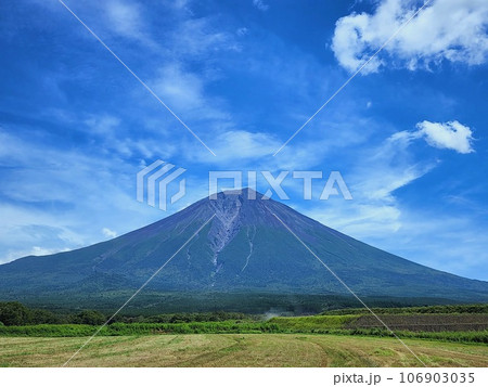 青空に夏の富士山 106903035