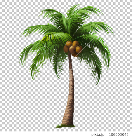 beach, travel, tropical, summer, sea, sand, water, relaxation, vacation, tourism, ocean, palm, chair, sky, holiday, folding, sun, nature, landscape, blue, coconut, island, paradise, coast, resort, 106903043