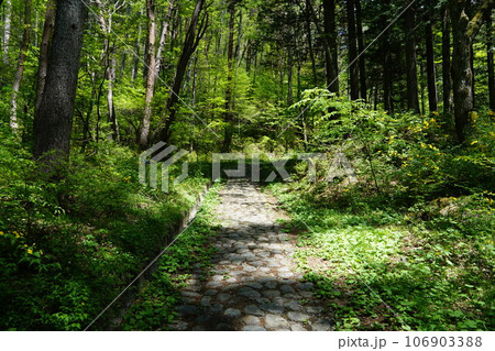 長野県木祖村 旧中山道 鳥居峠の入り口付近の石畳 長野県木祖村 旧中山道 鳥居峠の入り口付近の石畳 106903388