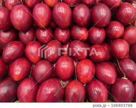 タマリロ タマリロ 106903786