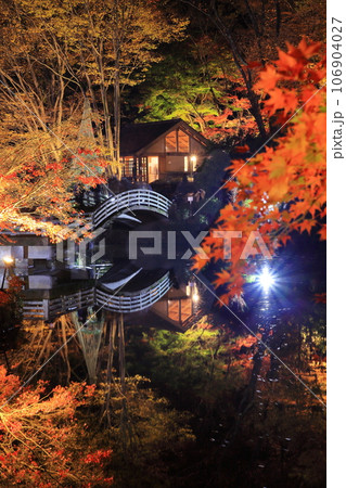 東京都町田薬師池公園の紅葉ライトアップ 東京都町田薬師池公園の紅葉ライトアップ 106904027