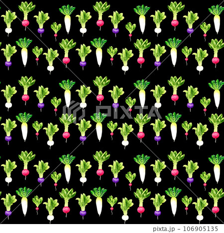 蕪・大根・ラディッシュのパターン　手描き水彩イラストの野菜柄 106905135
