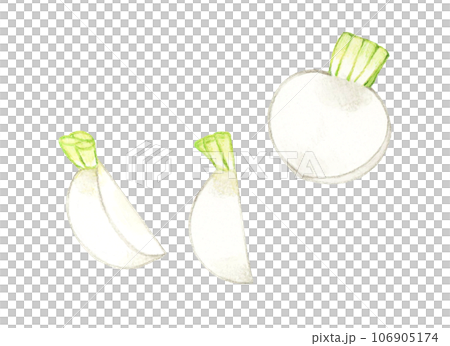 手繪水彩插圖切白蘿蔔蔬菜 106905174