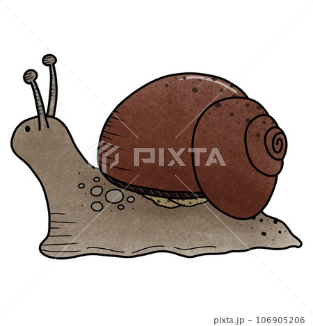 Snail 106905206