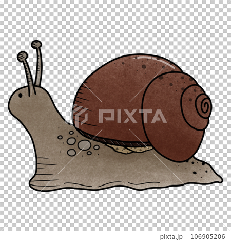 Snail 106905206