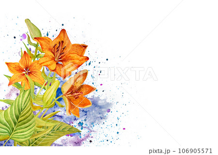 Watercolor illustration composition of roses and lilies, hand drawn. For postcards, invitations, advertising 106905571