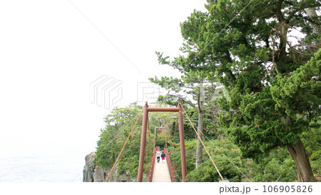 城ヶ崎海岸の吊り橋 城ヶ崎海岸の吊り橋 106905826