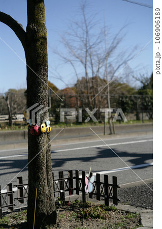 街路樹の花壇 106906189