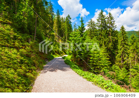 Walking trail around Eibsee lake, Germany Walking trail around Eibsee lake, Germany 106906409