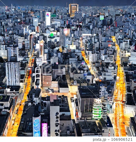 高層ビルから見た夜景 106906521