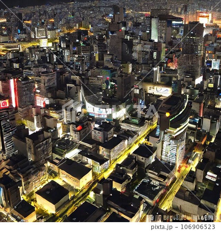 高層ビルから見た夜景 106906523