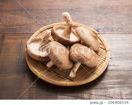 ジャンボ椎茸 106906534