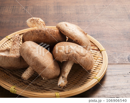 ジャンボ椎茸 106906540