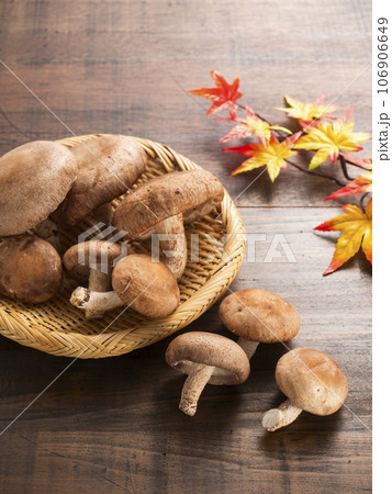 椎茸　大小 106906649